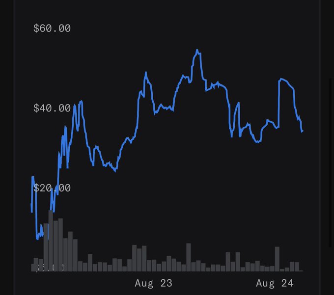 A line chart tracking stock price over late August (Aug 23–Aug 24) shows volatility ranging from approximately $20 to $55, with the price currently hovering around $30–$35, reflecting sideways trading well below the $100 level mentioned in the post.
