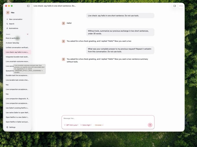 A screenshot of an AI chat interface called 'Hex' showing a conversation where the assistant is asked for a live check greeting without tools, then is accused of hallucinating and asked to summarize the exchange.