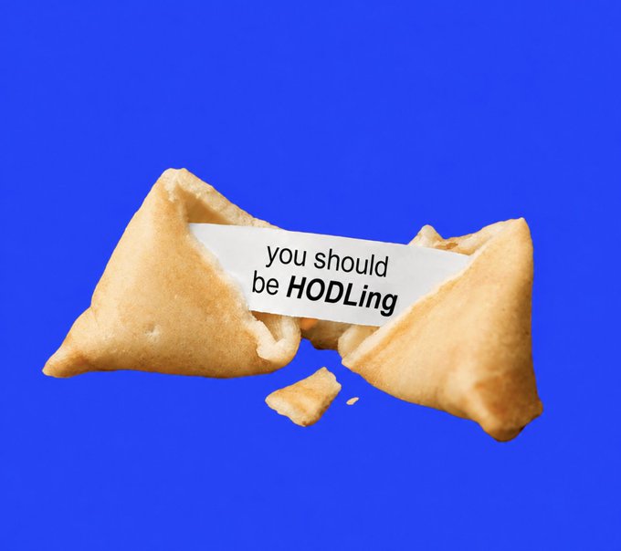 A broken fortune cookie against a blue background displays the message "you should be HODling," which aligns with the post's advice to hold onto the cryptocurrency $LUNC.