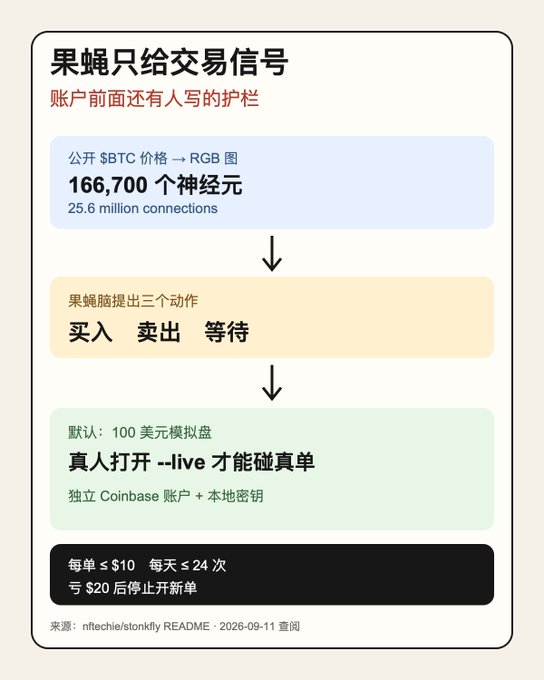 A Chinese-language infographic explaining that the 'Fruit Fly' project only provides trading signals, showing 166,700 neurons and 25.6 million connections, with three actions (buy, sell, wait), a default $100 simulated account, and risks of losing $20.