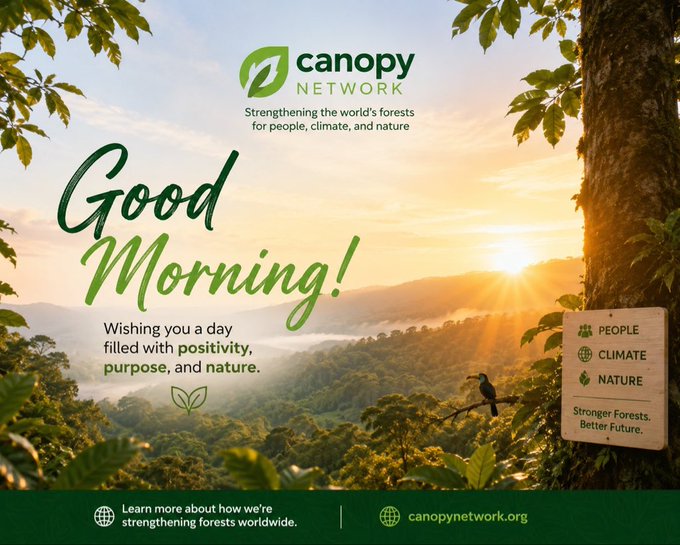 A 'Good Morning!' greeting card from Canopy Network, promoting their mission of strengthening forests for people, climate, and nature, with website canopynetwork.org.