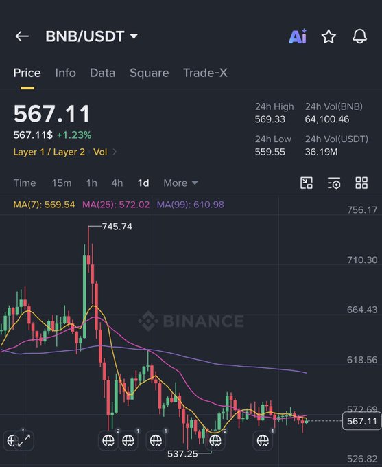 A cryptocurrency trading chart on Binance displays the BNB/USDT pair at a price of 567.11, showing a downward trend from a high of 745.74.