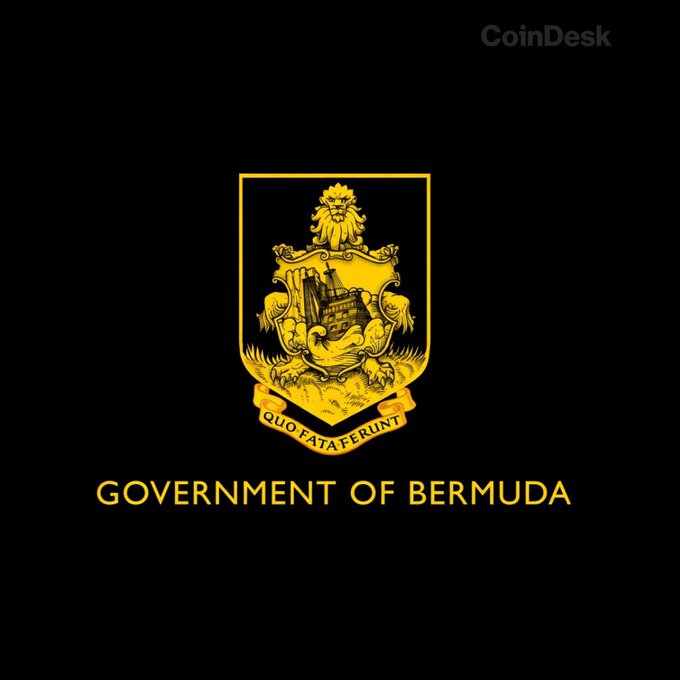 The image features a logo for the Government of Bermuda that includes a shield design with a lion at its center. The text "Governement of Bermuda" is written below the shield, indicating the country's official representation. The background of the image is black, which contrasts with the yellow and gold colors used in the logo. In the corner of the image, there are three words that read "LATEST: Bermuda is working with Circle, Coinbase and Stellar to build what it hopes will be the world’s first fully onchain economy." This text provides context about the project being discussed in relation to the Bermuda government's work with cryptocurrency.