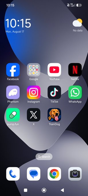 A phone home screen displays various app icons including Facebook, Google, YouTube, Netflix, Instagram, TikTok, WhatsApp, and X, with the "TrainDog" app prominently featured at 10:15 AM on Monday, August 17. The image illustrates the post's message about keeping TrainDog accessible directly on the home screen for one-tap access to the new mobile experience.