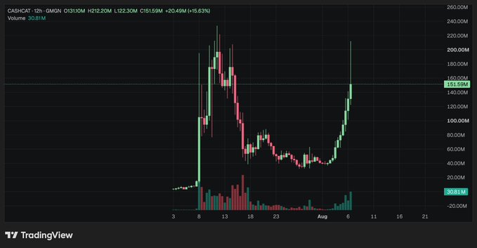 A TradingView candlestick chart shows the price action for CASHICAT token (ticker shown at top), displaying a massive spike followed by decline, with volume bars below.