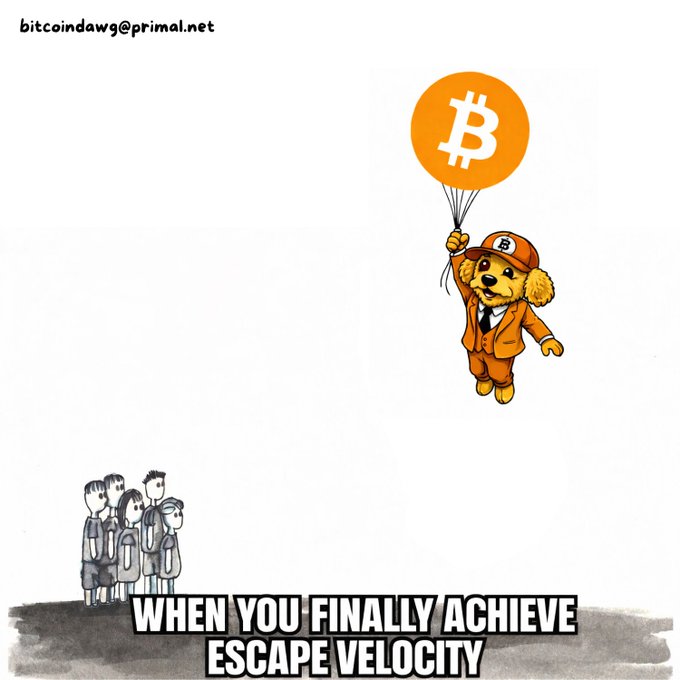 A cartoon dog in a suit floats away on a Bitcoin balloon from a small group of onlookers below, with the caption "WHEN YOU FINALLY ACHIEVE ESCAPE VELOCITY." This visually represents the post's message about stacking sats (accumulating small amounts of Bitcoin) until reaching a financial threshold where you break free from conventional constraints.