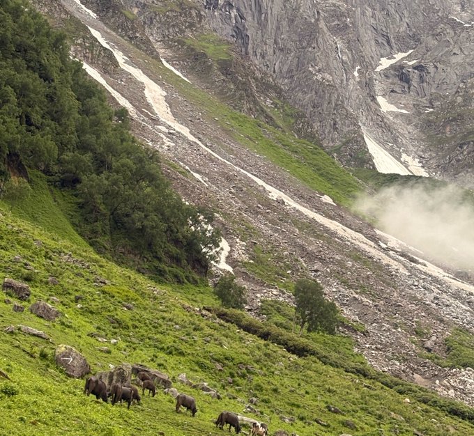 A scenic mountain landscape with lush green slopes, rocky cliffs, patches of snow, and a small herd of animals grazing on the grass.