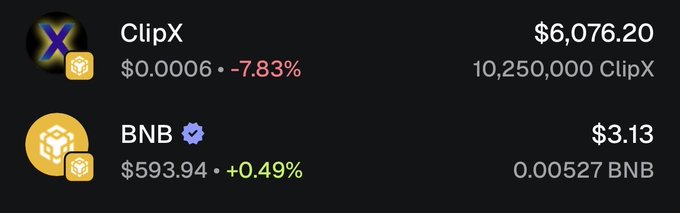 A BSC Alpha Wallet dashboard displays ClipX at $0.0006 (-7.83%) and BNB at $593.94 (+0.49%), with holdings of 10,250,000 ClipX and a wallet value of $6,076.20, illustrating the day's -8.71% pullback driven by ClipX's underperformance against a slightly stronger BNB.