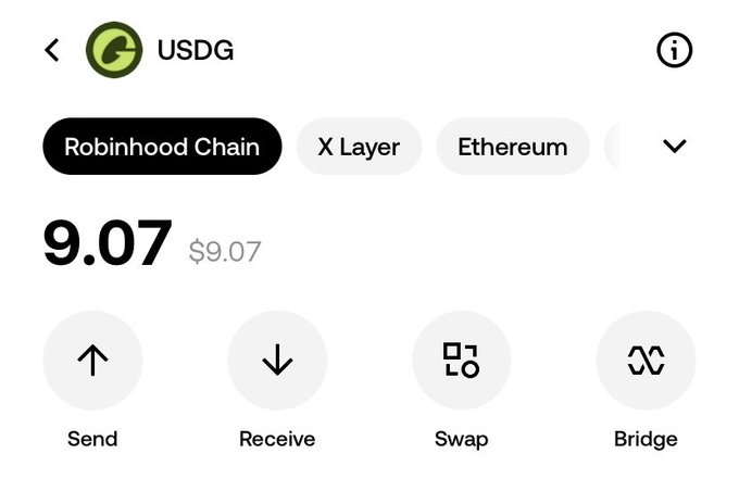 Mobile wallet interface showing a USDG token balance of 9.07, with chain selection options including Robinhood Chain, X Layer, and Ethereum, and action buttons for Send, Receive, Swap, and Bridge.