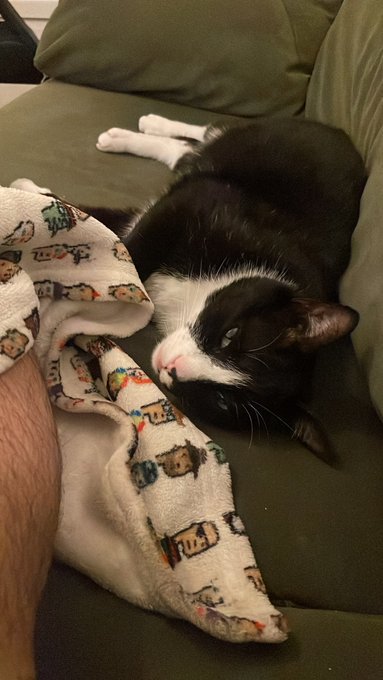 A black and white tuxedo cat lies on its side on a green couch next to a person's leg covered by a blanket patterned with cartoon characters.