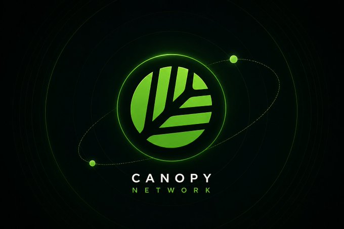 The image features a logo for a company called "Canopy Network" that specializes in creating networks of interconnected nodes, also known as Mesh networks. The logo consists of a green leaf with white lines inside, which represents the concept of a network or mesh structure. The text "CNPYNetwork" is written below the leaf design, indicating the nature and purpose of this particular company's work.