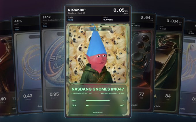 A collection of NFT stock cards on Stockrip including AAPL, SPCX, and a featured 'NASDANG GNOMES #4047' card depicting an anime-style character with a blue cone hat and golden dogs in the background.
