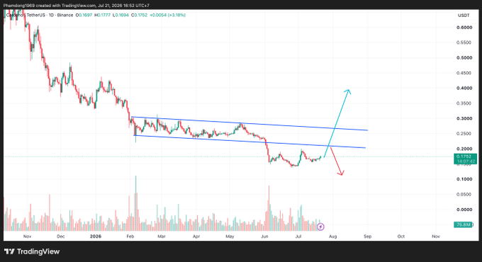 A TradingView daily candlestick chart of Cardano (ADA/USDT) shows a long downtrend forming a descending channel between ~$0.20 and $0.30, with the current price at $0.1757, illustrating the post's discussion of Cardano's major Van Rossem hard fork upgrade amid a prolonged bearish market structure.