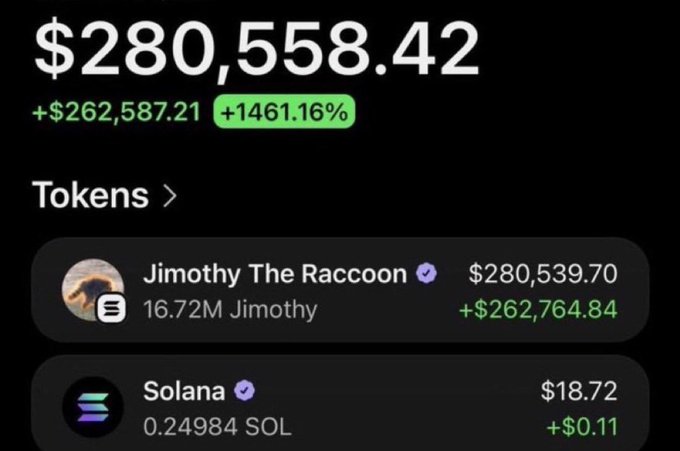 A cryptocurrency portfolio dashboard showing a total balance of $280,558.42, up $262,587.21 (+1461.16%), with holdings in Jimothy The Raccoon (16.72M tokens, $280,539.70) and Solana (0.24984 SOL, $18.72).