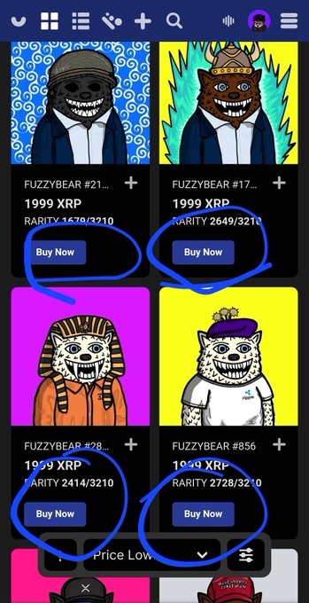 An NFT marketplace shows 'FUZZYBEAR' listings priced at '1999 XRP' with 'Buy Now' buttons circled in blue.