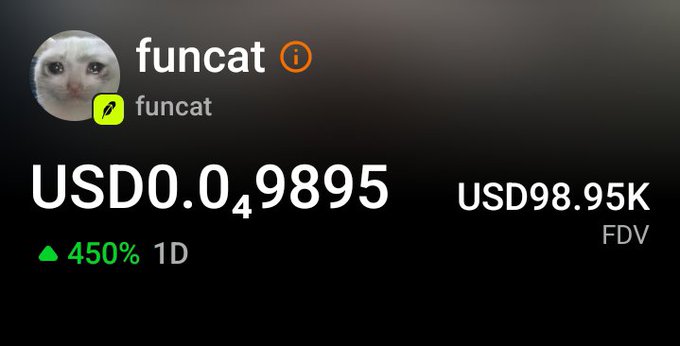 Cryptocurrency listing for 'funcat' showing a price of USD 0.0₄9895, a 24-hour FDV of USD 98.95K, and a 450% gain over 1D.
