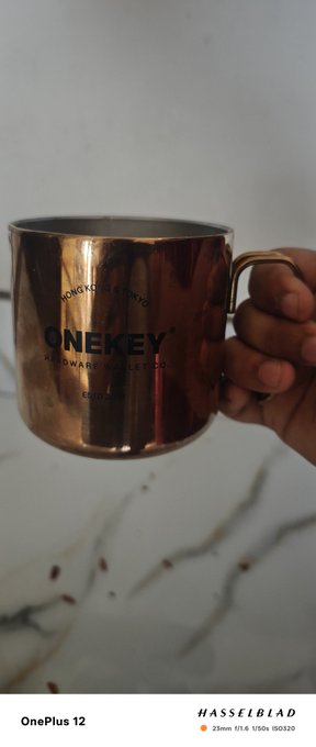 A hand holds a copper-colored mug engraved with 'ONEKEY HARDWARE WALLET', with 'OnePlus 12' and 'HASSELBLAD' watermarks visible.