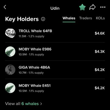 A screenshot of the "Key Holders" tab on the Udin ($UDIN) token page shows the top four whales holding 11.5M, 10.9M, 10.7M, and 10.5M tokens respectively (~$4.2K–$4.6K each), reinforcing the post's message that whales are accumulating and holding strong.