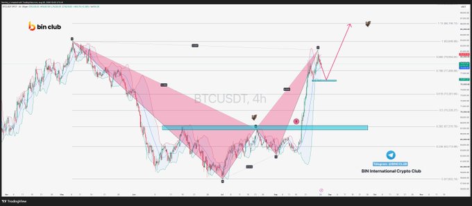 A 4-hour BTCUSDT chart from Binance displaying a bearish harmonic pattern (pink "bat" formation) with a recent fake breakout toward 80k, followed by a pullback testing horizontal support near 76k, marked with a cyan "Telegram" link for "BIN International Crypto Club." The chart visually illustrates the post's analysis of an 0.886 bat pattern completion and the need to watch the 4h lower rail support around 76k for a potential long entry with protective stops.