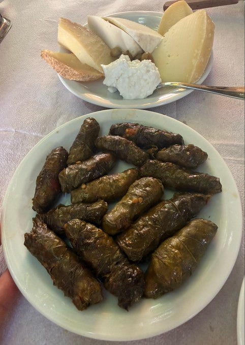 A plate of stuffed grape leaves (dolmades) served alongside a dish of assorted cheeses and what appears to be fresh ricotta, showcasing a traditional Greek meal that lives up to the claim "Only possible in Greece."