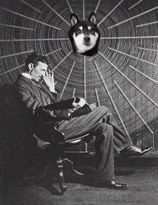 A surreal black-and-white collage of a seated man in a suit with a detached husky dog's head floating in front of a radiant sunburst pattern.