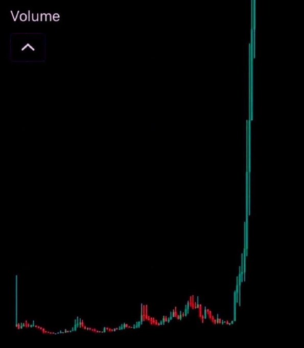 A stock chart titled "Volume" shows trading activity with a dramatic, towering green spike on the right side towering above the relatively flat earlier activity, suggesting a sudden surge in trading volume. The caption "Soon all our coins…" implies optimism that this volume spike will translate into a significant price rally for their crypto holdings.