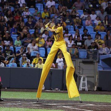 A person wearing bright yellow pants and a yellow cap/headpiece standing on a baseball field in a batting stance, with spectators visible in the stands behind them.