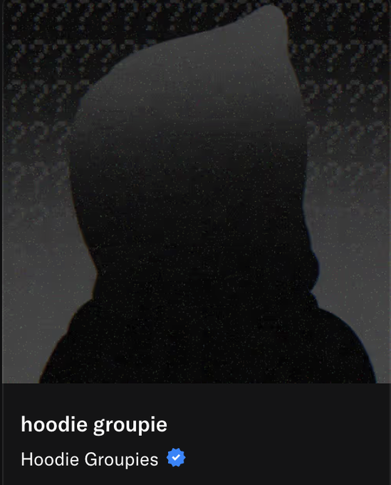 A dark, grainy profile image of a hooded figure associated with the Twitter/X account 'hoodie groupie' for 'Hoodie Groupies', which has a verified badge.