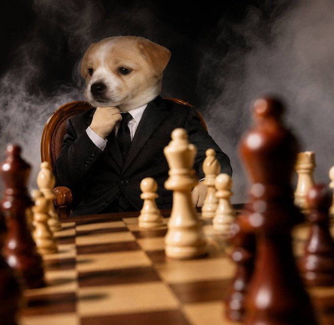 A puppy in a black suit and tie sits contemplatively at a chessboard, paw on chin, exuding the air of a strategic mastermind plotting his next move. The image pairs with the post's chess-themed prompt, symbolizing the calculated decision of whether to invest in or "fade" the top dog coin on Robinhood.
