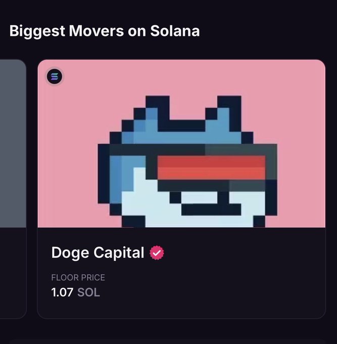 The image shows a Solana NFT listing for "Doge Capital" featuring pixel art of a blue dog wearing sunglasses, with a floor price of 1.07 SOL, which illustrates the dramatic 1-day price surge mentioned in the post from 0.175 SOL to over 1 SOL.