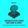 A bright blue promotional graphic featuring the Cubic logo, the text 'AIGARTH FOLLOWS NATURE'S LEAD', and a question 'Why Cubic grass instead of sodding?'.