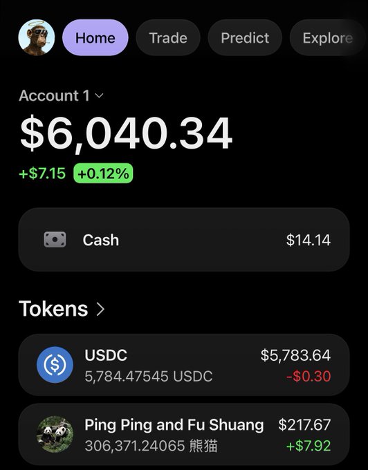 A cryptocurrency portfolio screenshot showing an account balance of $6,040.34 (+$7.15, +0.12%), with holdings including USDC at $5,783.64 and 'Ping Ping and Fu Shuang' tokens at $217.67.