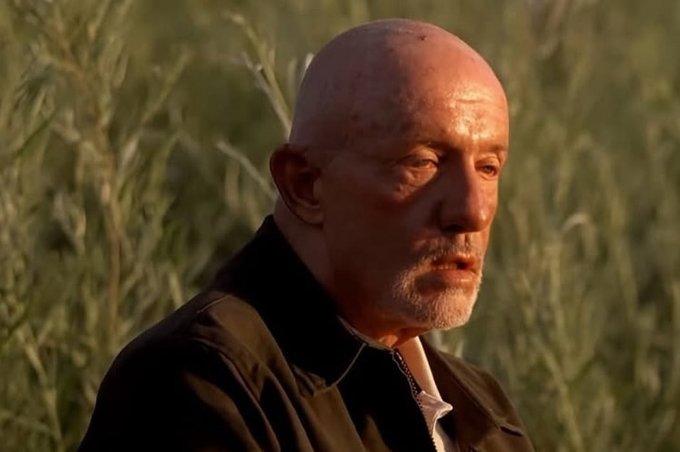 A close-up of an older bald man with a gray beard wearing a dark jacket, standing in a field of tall grass with a serious expression, appearing to be from a film or interview.
