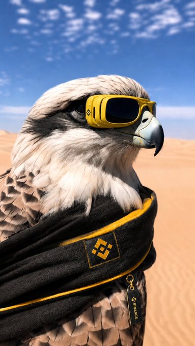 A falcon wearing yellow goggles and a black scarf with a Binance logo stands in a desert landscape, with a small tag reading "BINANCE" visible on the scarf. The image ties into the post "muy de sabado(?)" through its playful, adventurous vibe—portraying a "cool" bird ready for a Saturday outing, with Binance branding suggesting a relaxed, weekend crypto mood.