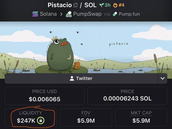 A memecoin trading interface showing "Pistacio / SOL" token on Solana via PumpSwap and Pump.fun, featuring a cartoon frog mascot, with price stats including $0.006065 USD, 0.00006243 SOL, and $247K liquidity (circled in orange).