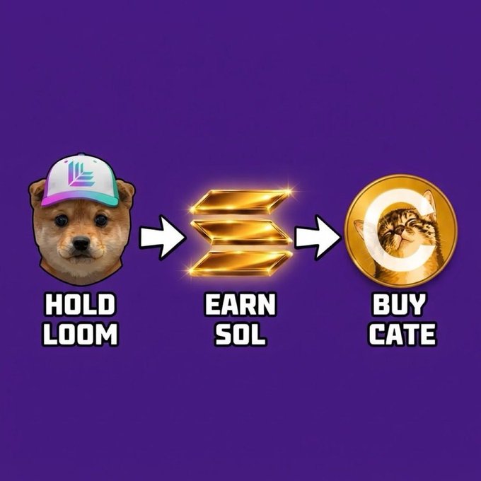 A meme-style graphic on a purple background shows a dog labeled “HOLD LOOM,” an arrow to a Solana logo labeled “EARN SOL,” and another arrow to a cat coin labeled “BUY CATE.”