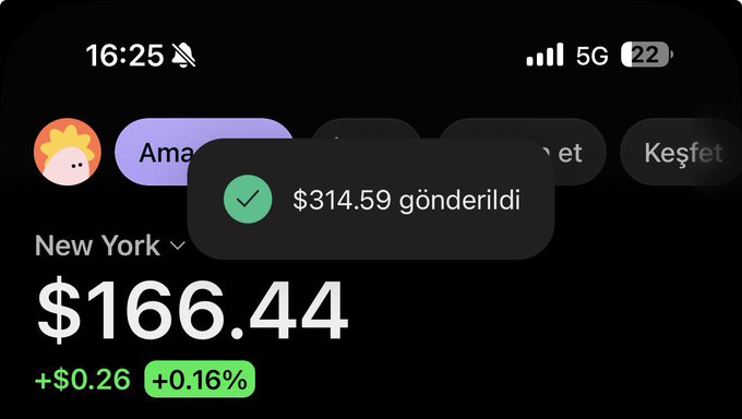 A smartphone screenshot displays a $314.59 transaction confirmation notification ("$314.59 gönderildi") overlaid on a financial app showing "New York" with a current value of "$166.44" (+$0.26, +0.16%), illustrating the dramatic decline in value from the $70k peak the poster referenced.