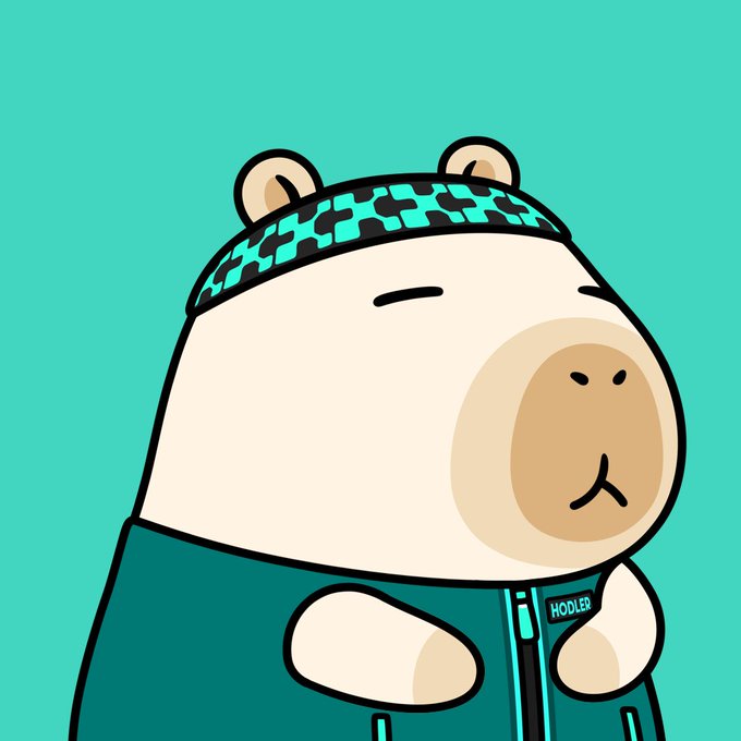 A cartoon illustration of a white bear character wearing a teal hoodie with a 'HOOLER' label and a matching teal cap, with a neutral expression against a solid teal background.