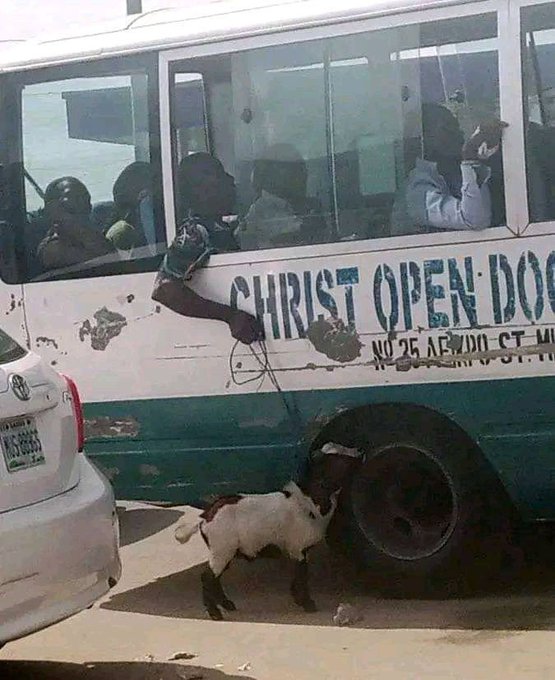 A white and green bus labeled "CHRIST OPEN DOOR" with passengers visible inside, parked on a street next to a small black and white goat.