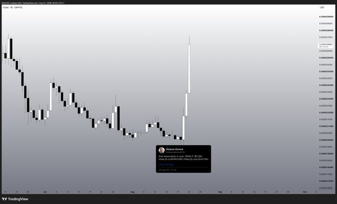 A TradingView chart displays FLOKI/USD on a daily timeframe with a dramatic bullish surge following a prolonged downtrend, highlighted by a tweet from @sahm2ahmad predicting a 2500-2750% target. The chart shows the price spiking sharply upward in late August, breaking above previous resistance levels.