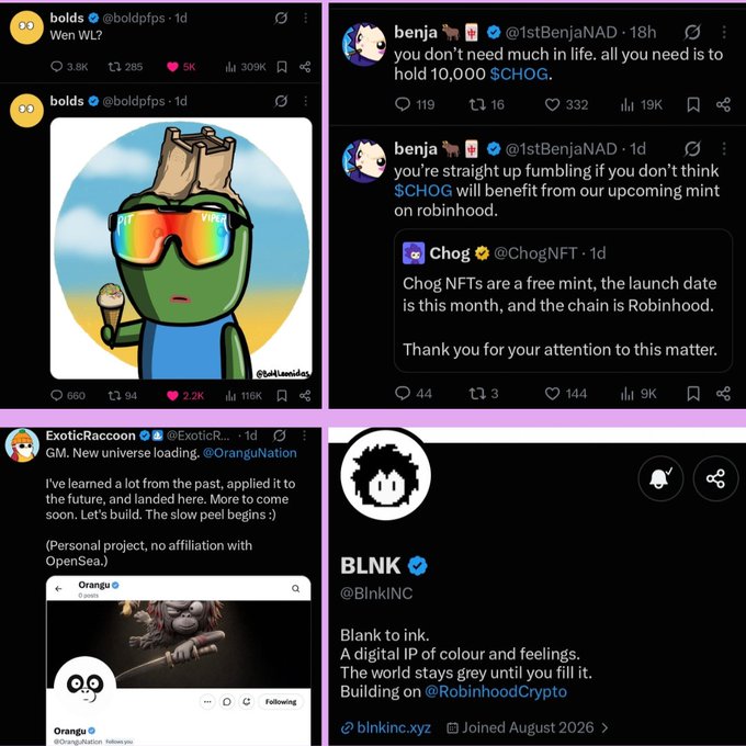 A collage of Twitter/X posts features the accounts 'bolds', 'benja', 'ExoticRaccoon', and 'BLNK', promoting 'CHOG' and other digital assets on platforms like Robinhood.