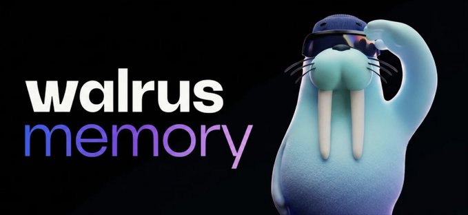 A 3D-rendered cartoon walrus wearing sunglasses appears next to the text "walrus memory" in white and gradient lettering on a black background.