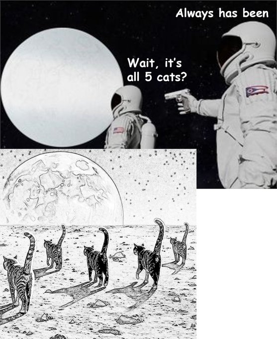A meme combining the 'Always Has Been' astronaut format with a historical illustration of cats on the moon; the astronaut points a gun saying 'Wait, it's all 5 cats?' while 'Always has been' appears above, and the bottom image shows five cats walking on the lunar surface.