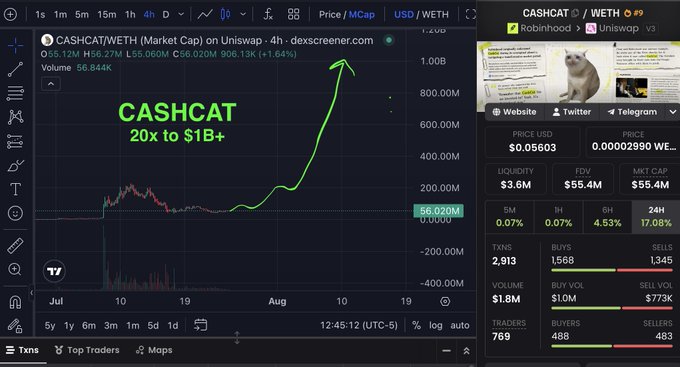 Trading chart for CASHCAT/WETH on Uniswap showing a dramatic price increase labeled '20x to $1B+'.