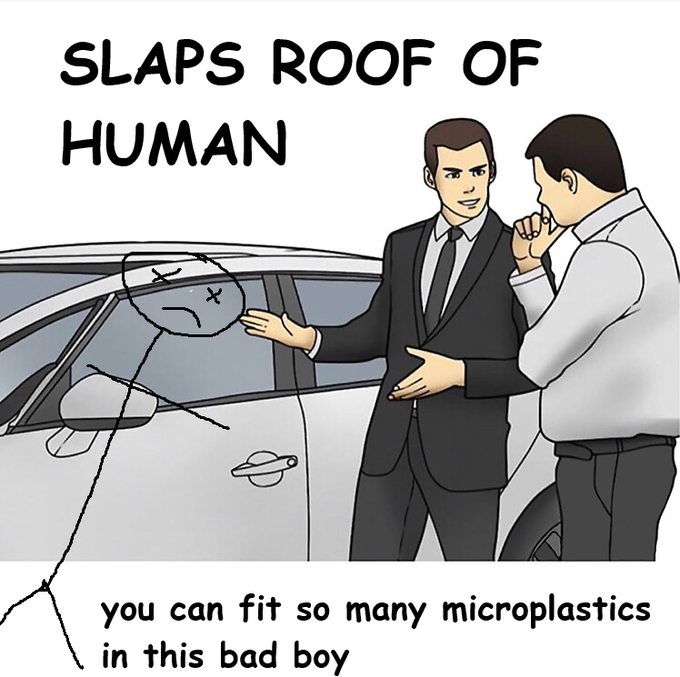 A cartoon meme titled 'SLAPS ROOF OF HUMAN' showing a suited salesman patting a car while a buyer looks on, with the caption 'you can fit so many microplastics in this bad boy'.