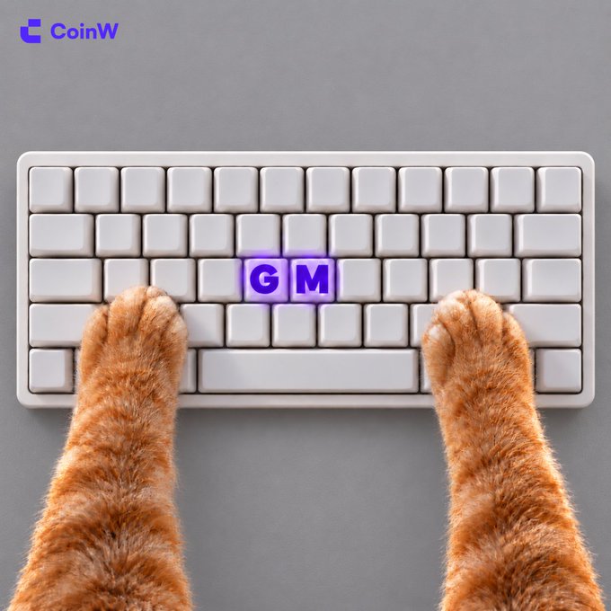 Orange cat paws resting on a white keyboard with glowing purple 'G' and 'M' keys, branded 'CoinW' in the upper left corner.