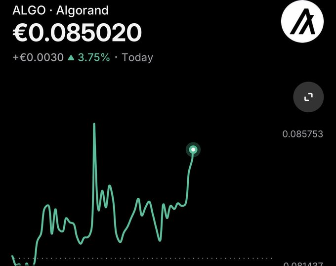 The image shows a stock chart with lines and symbols, but there is no text or information about investing in Algo or Algand. The main focus of the image seems to be related to the trading platform rather than investment strategies or financial news. The caption provided does not seem to provide any useful context either, as it only says "What if investors are selling $SPCX for Algo".