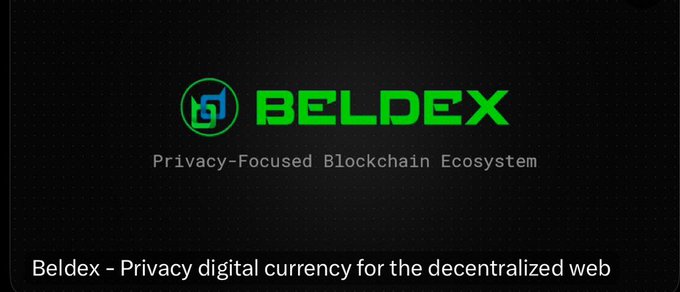 Logo graphic for 'BELDEX' described as a 'Privacy-Focused Blockchain Ecosystem' with the tagline 'Beldex - Privacy digital currency for the decentralized web'.