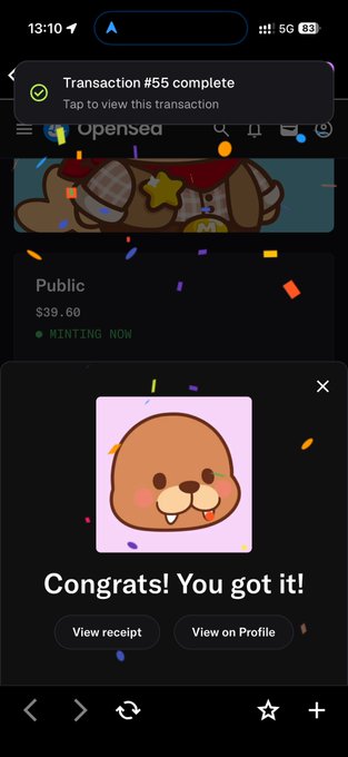 A mobile app showing a successful NFT transaction #55 completion with a cute cartoon bear avatar and 'Congrats! You got it!' message.