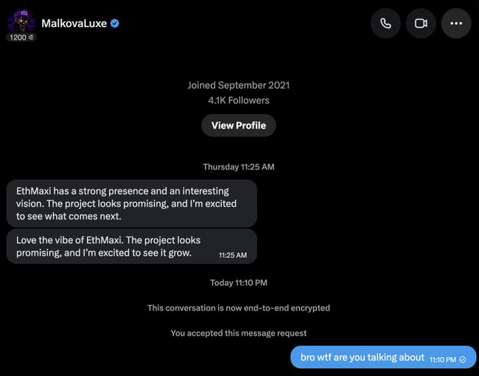 A screenshot of a Twitter/X DM conversation where user "MalkovaLuxe" (joined September 2021, 4.1K followers) sends two nearly identical messages confusing the recipient's "ETHmaxi" username for a cryptocurrency project called "EthMaxi." The recipient responds "bro wtf are you talking about," highlighting the awkward miscommunication referenced in the post.